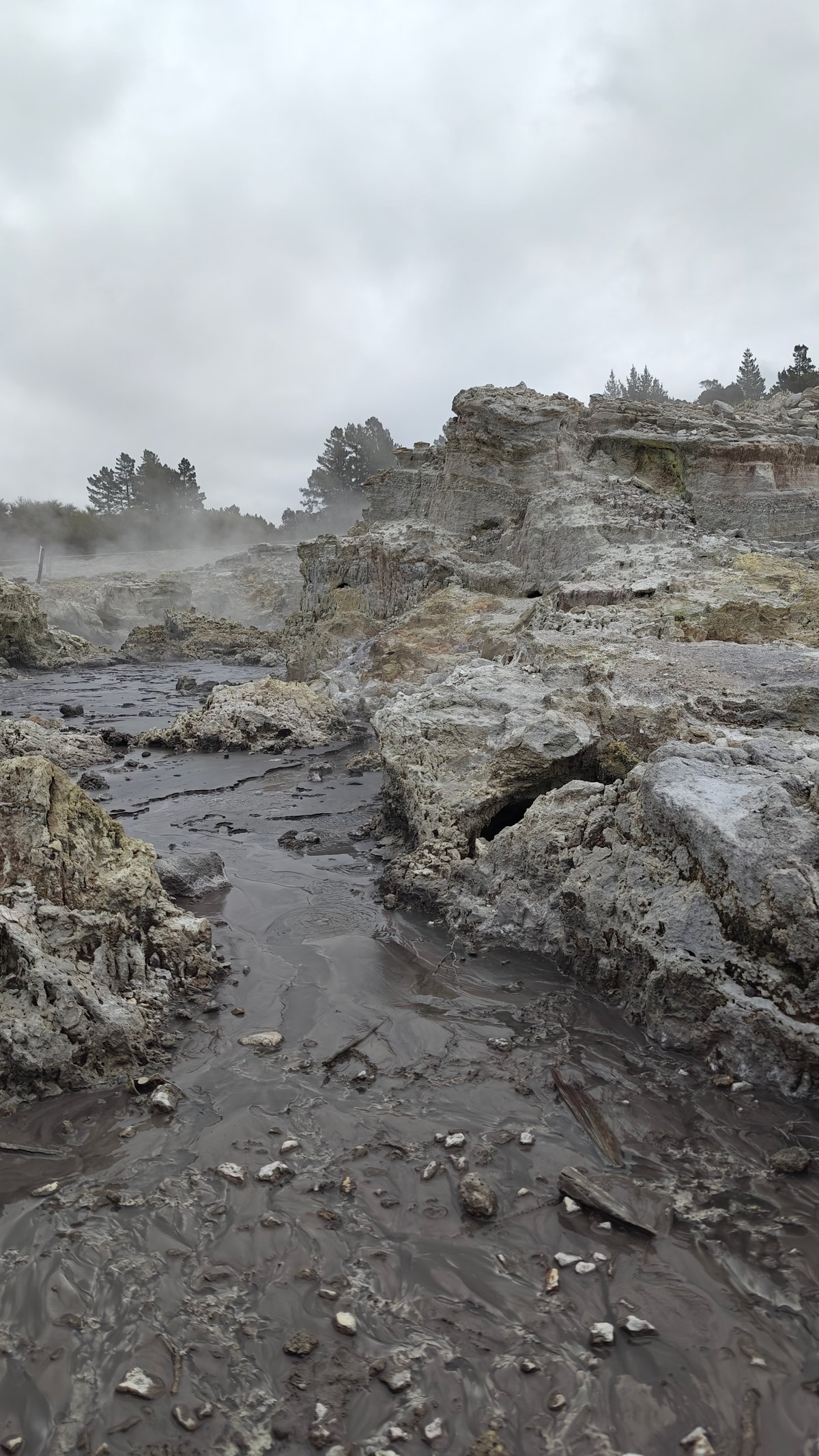 Black mud steaming in the reserve