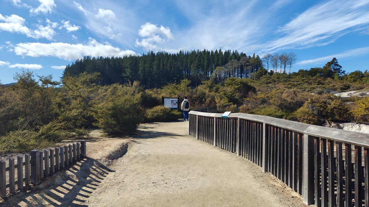 Boardwalk across the crater field