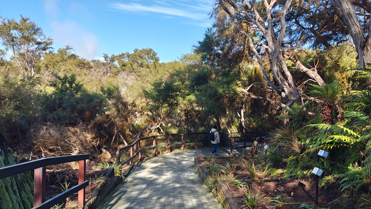Boardwalk path through the scrub