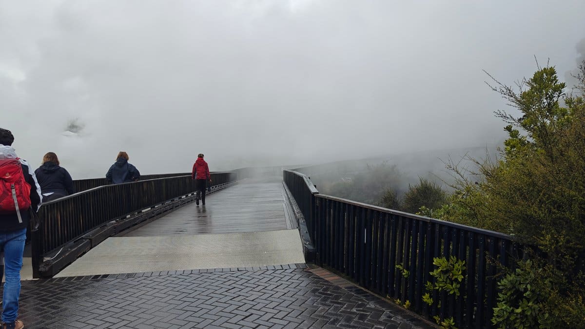Boardwalk vanishing into the steam