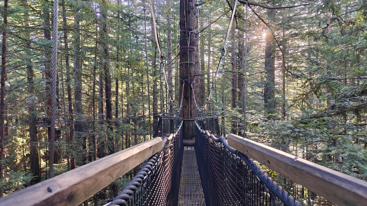 Bridge in late afternoon light