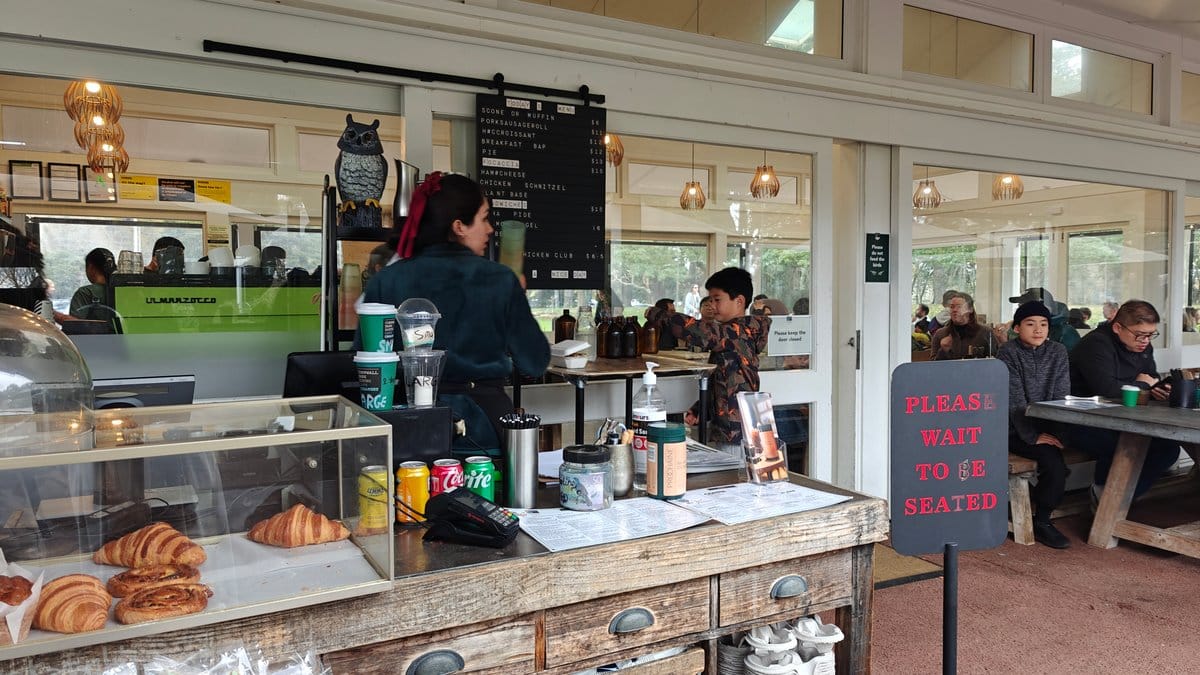 Cafe servery and coffee counter