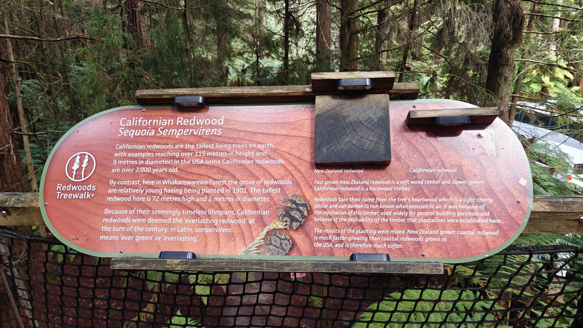 Californian redwood interpretive panel