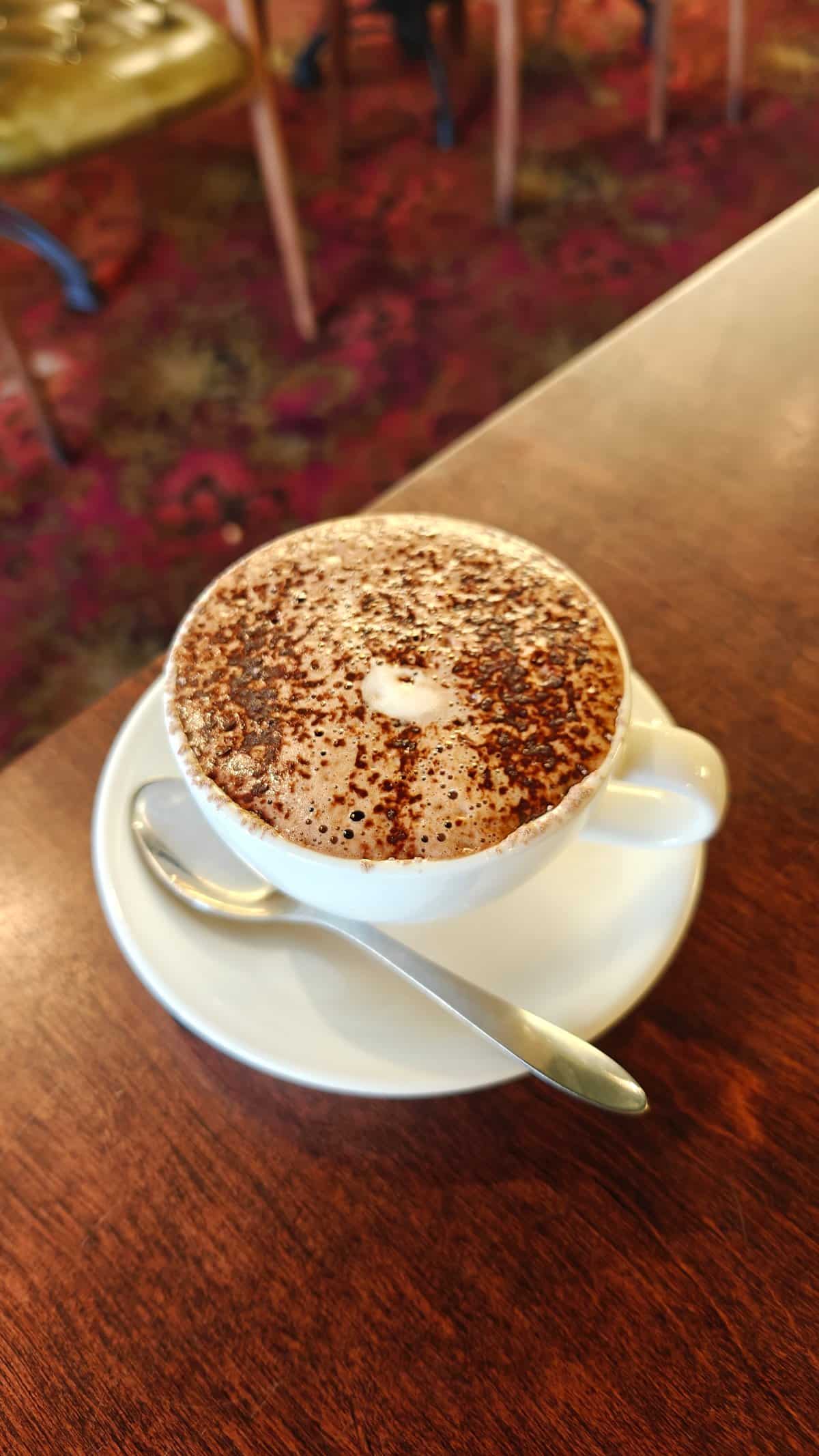 Cappuccino with chocolate-dusted foam