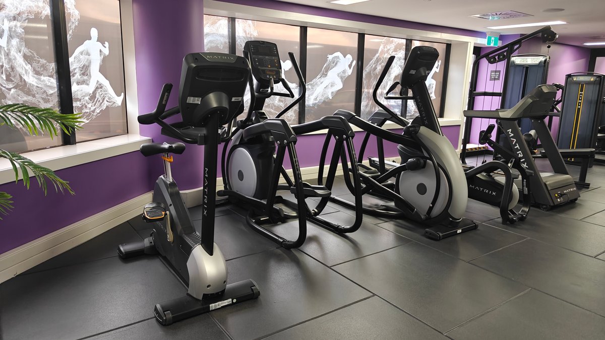 Cardio machines lined along the windows