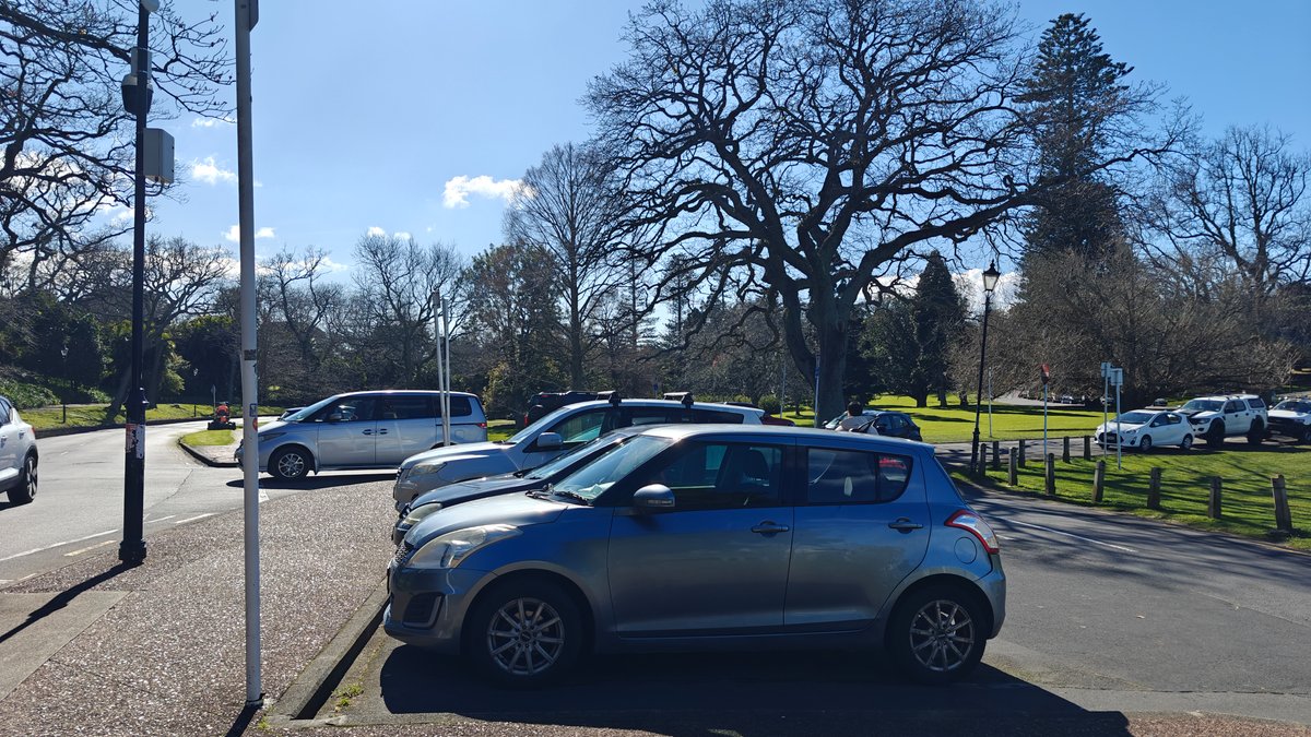Cars parked along the Domain road under bare