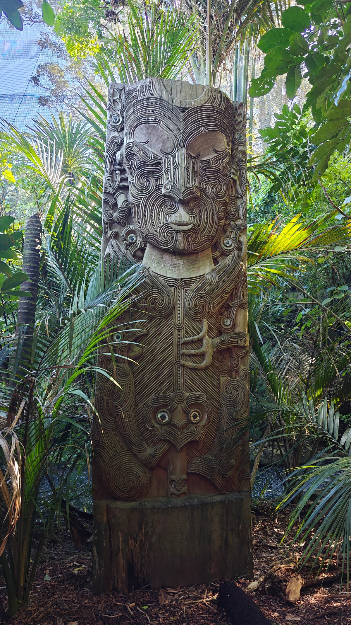 Carved pou among forest palms