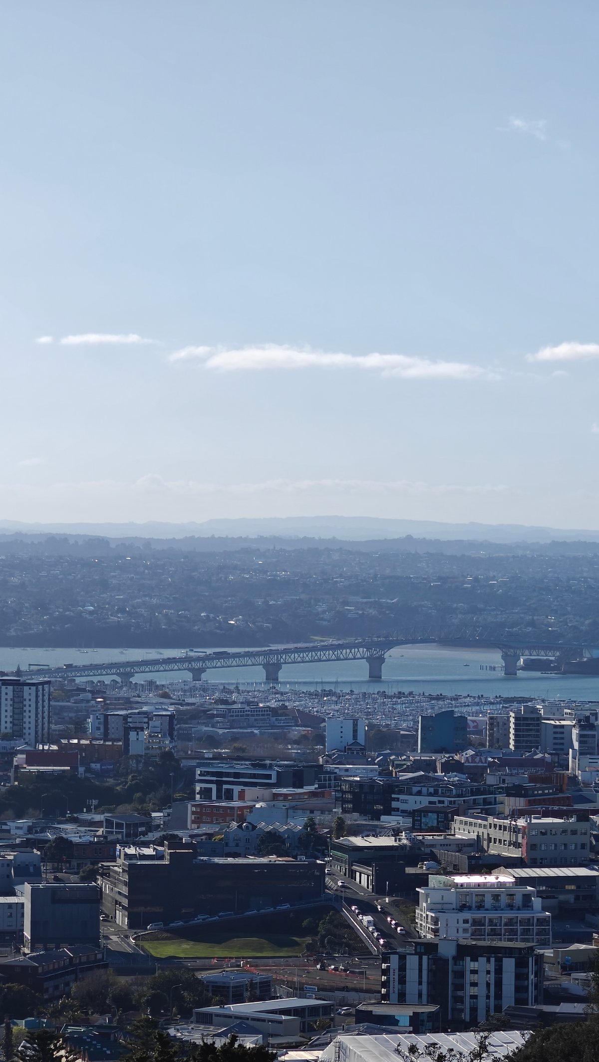 CBD skyline and harbour bridge