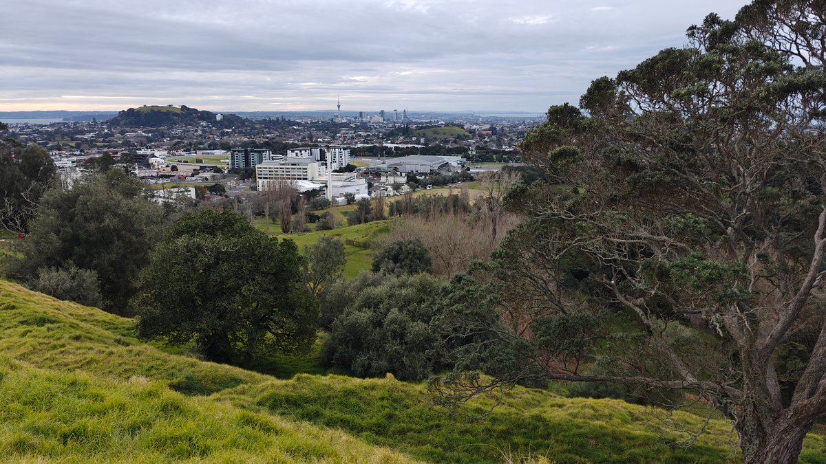 City panorama from the grassy slope