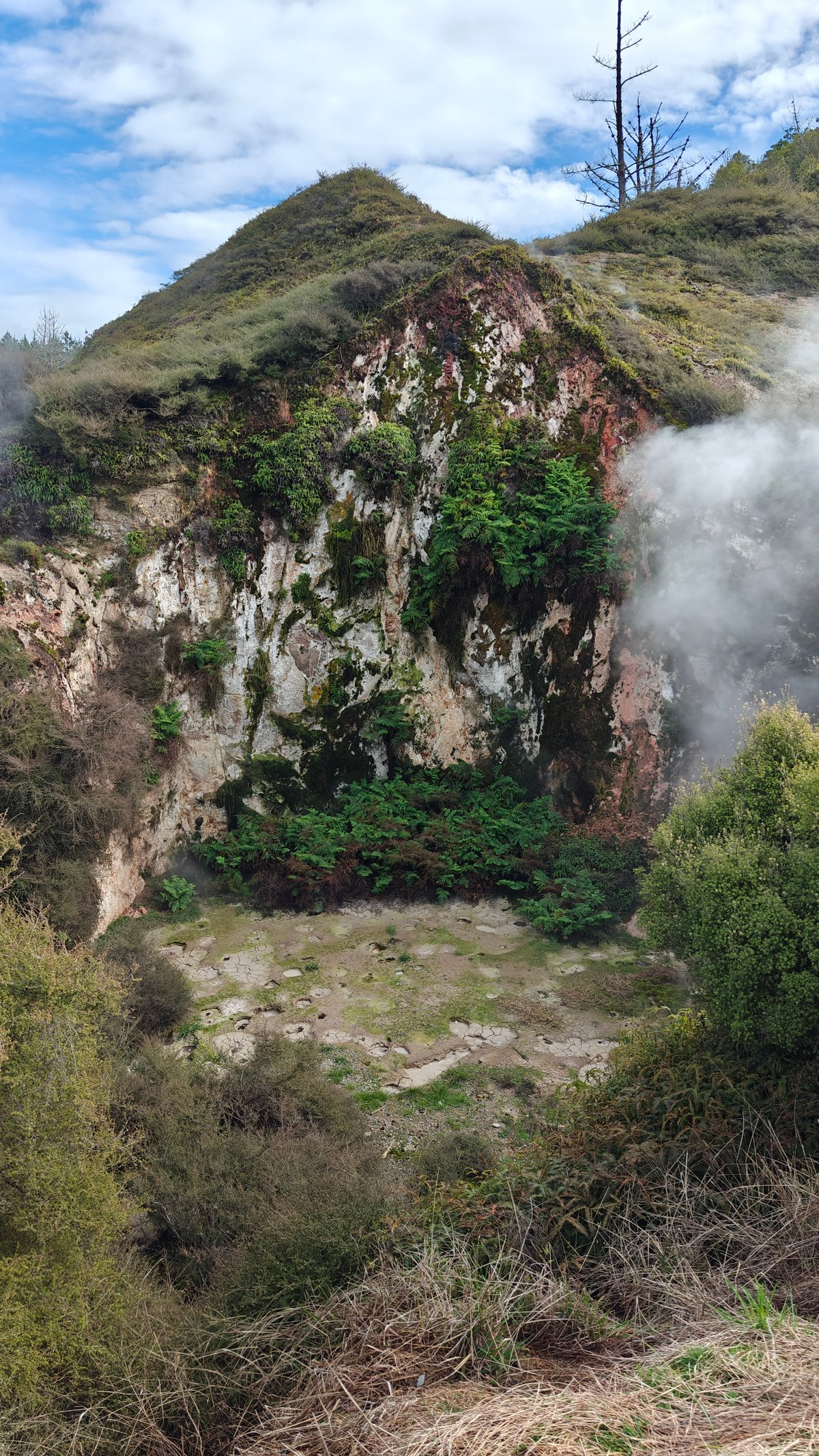 Crater walls with green regrowth