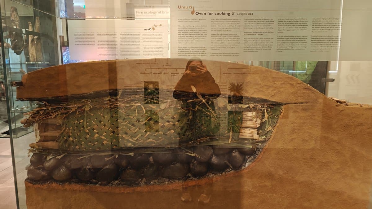 Cutaway earth oven with heated stones