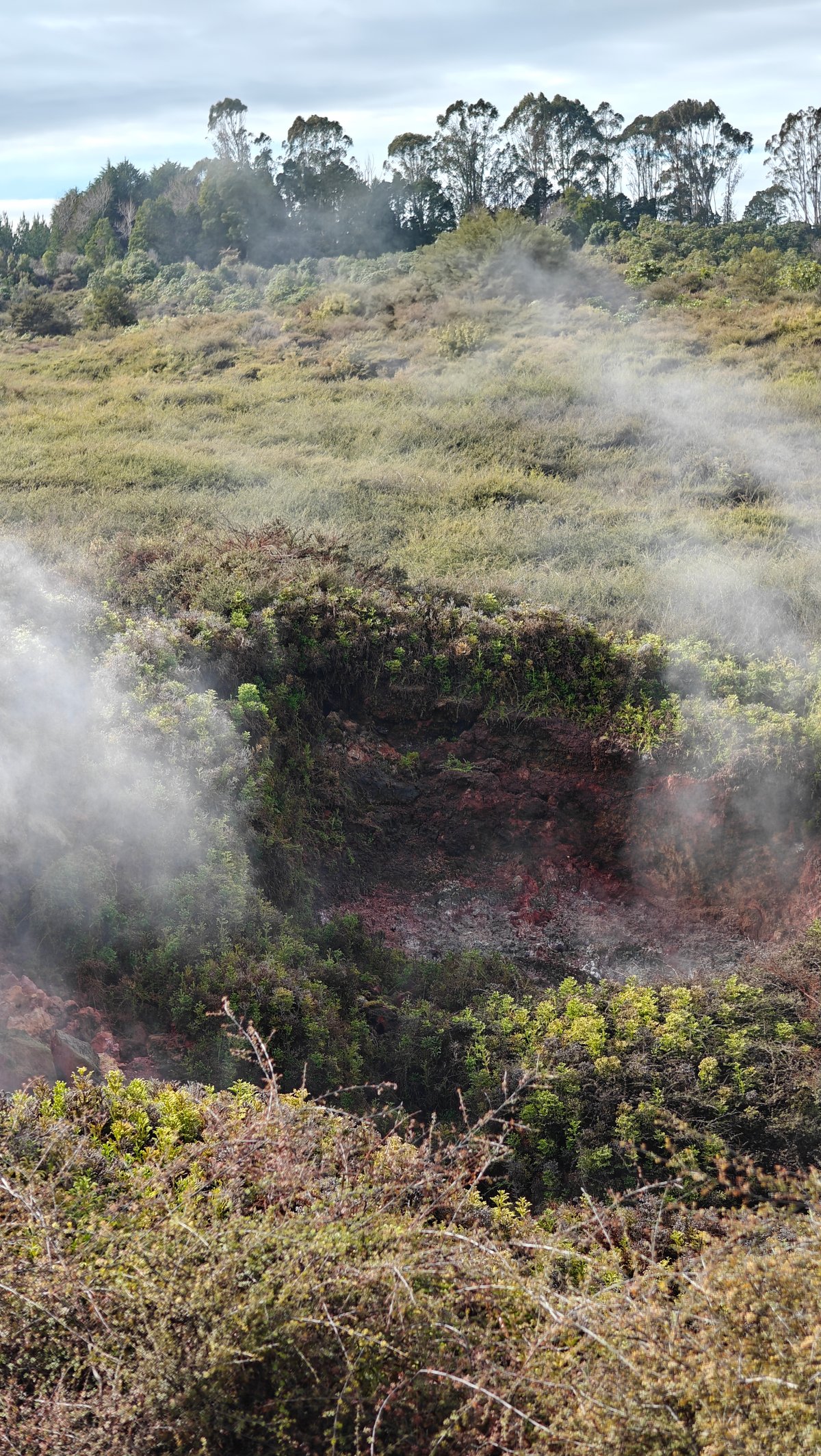 Dark steaming crater cut into scrub