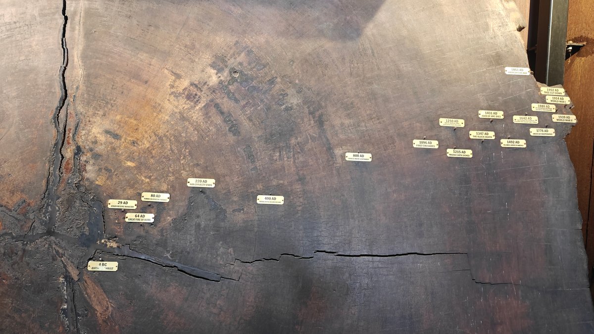 Dated rings on giant slab