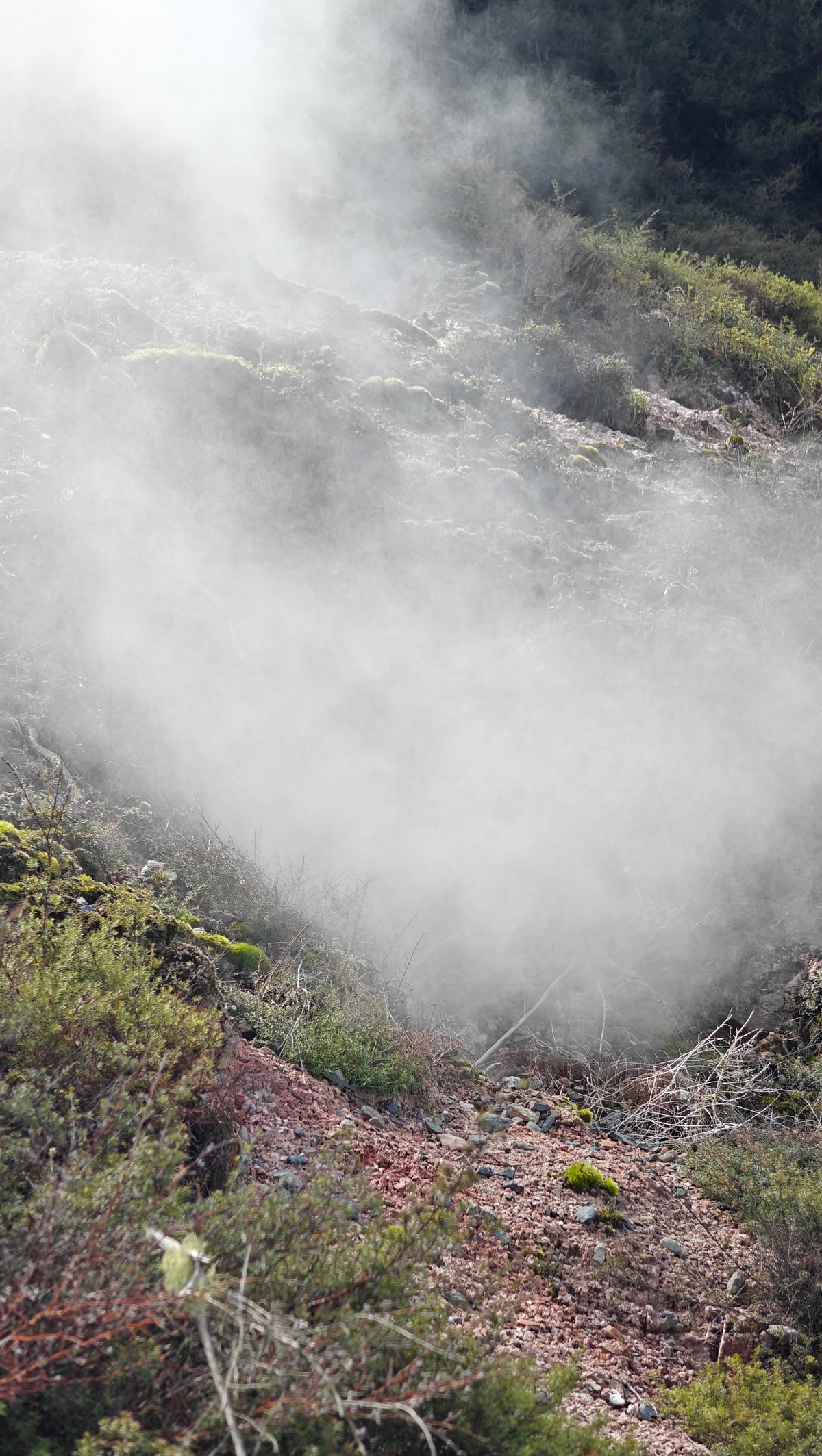 Dense steam pouring from hillside vent