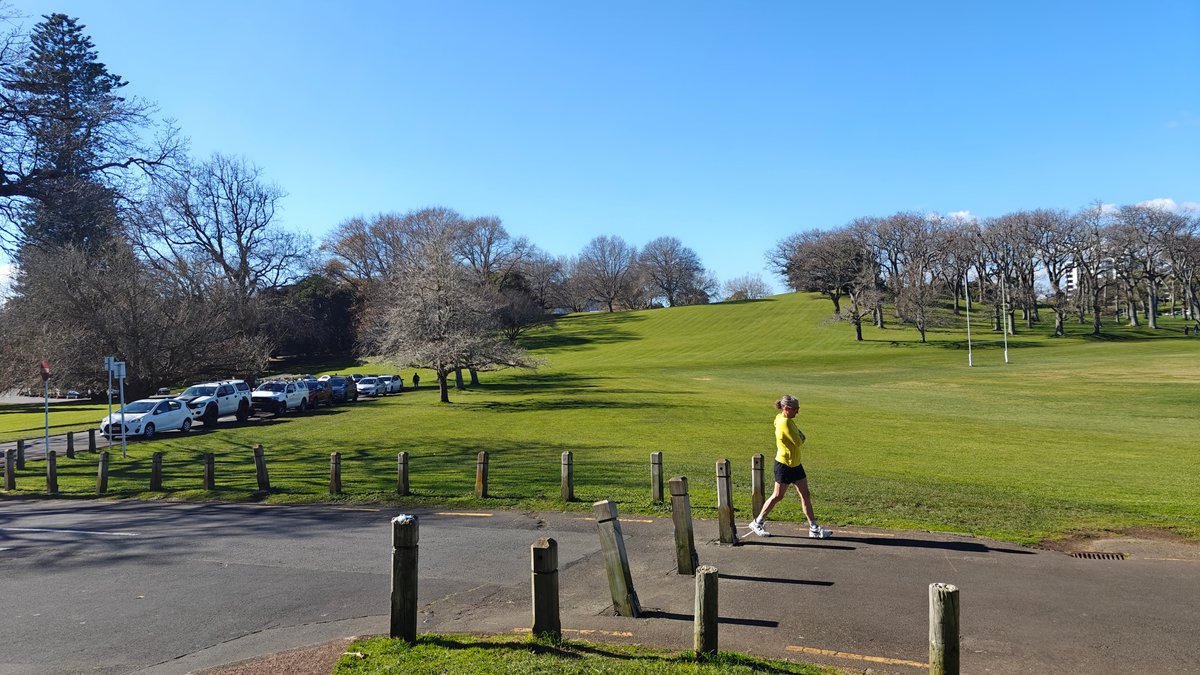 Domain parkland with parked cars and a runner