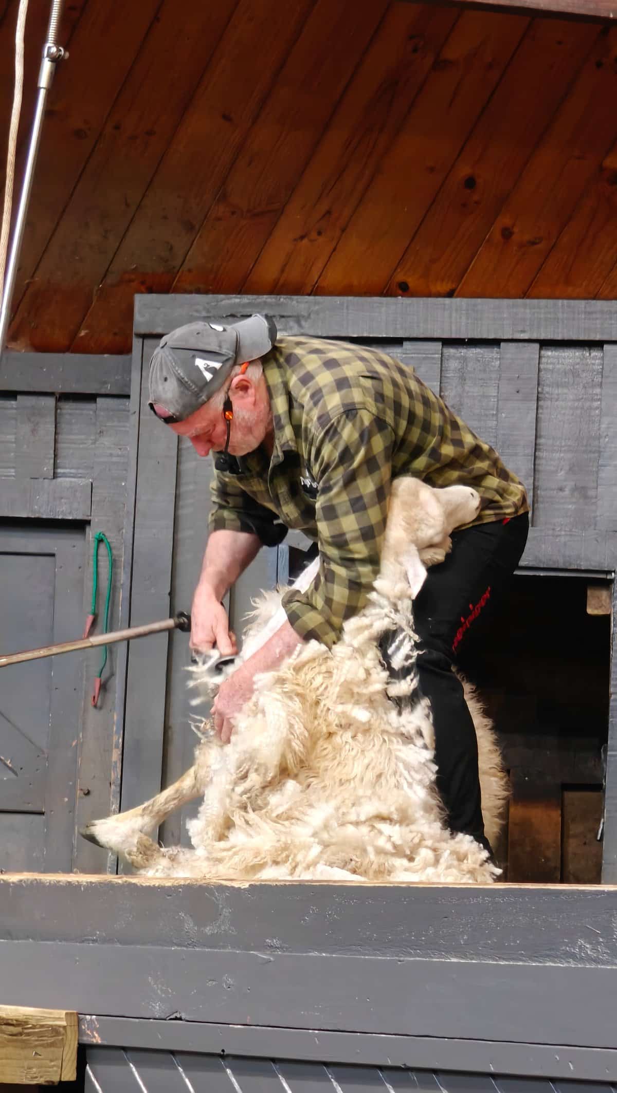 Fleece peeling off in one piece