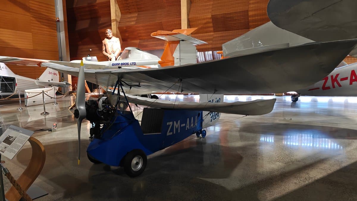 Flying Flea homebuilt aircraft