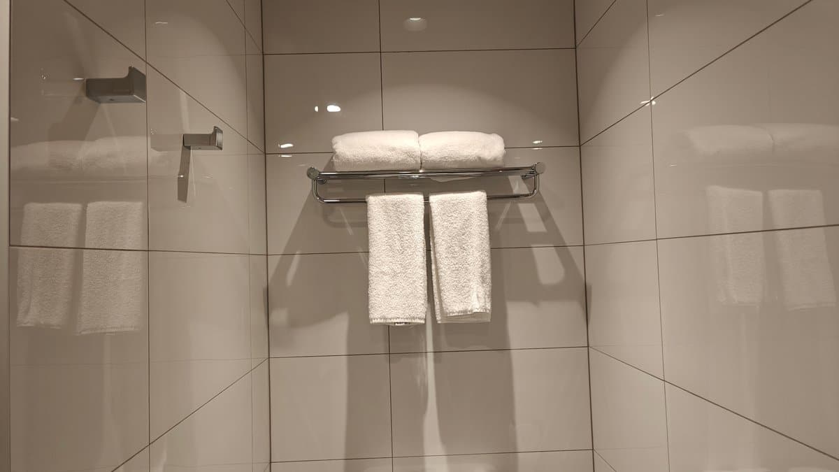 Folded towels on the rail inside the shower