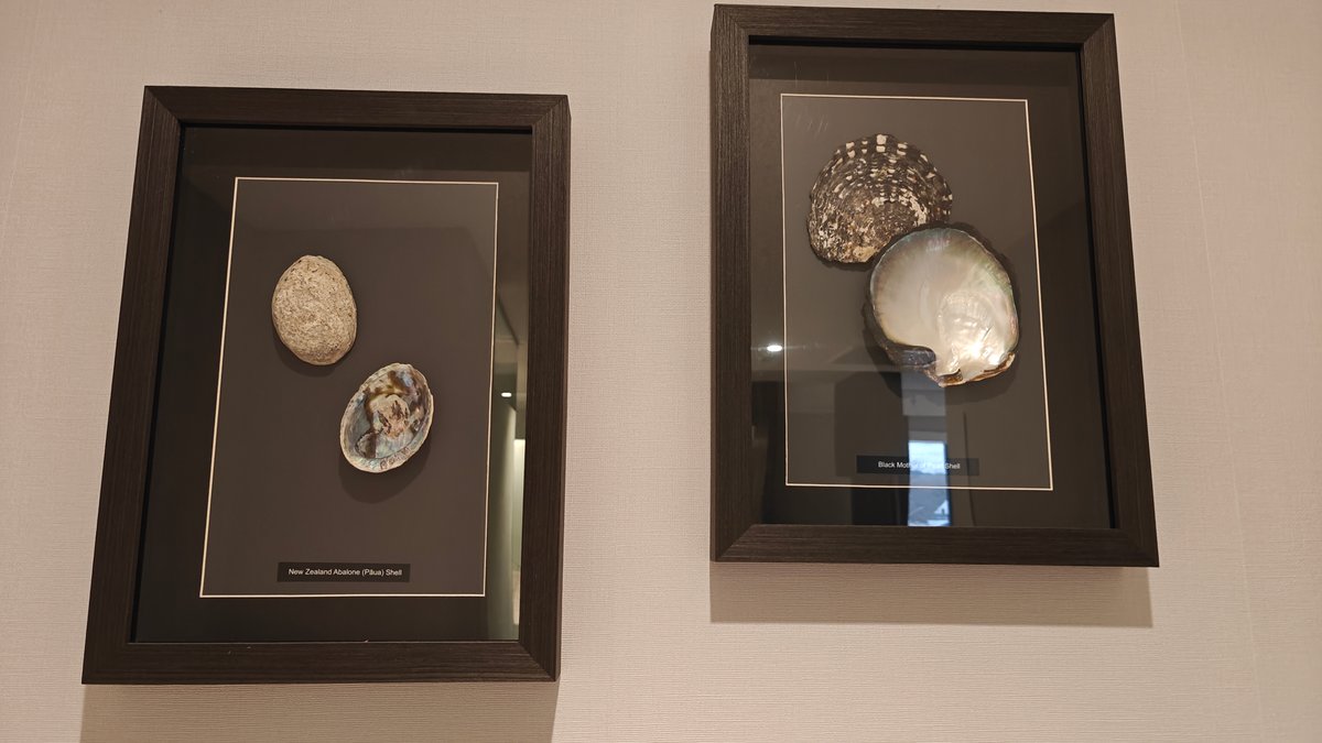 Framed artworks on guest room wall