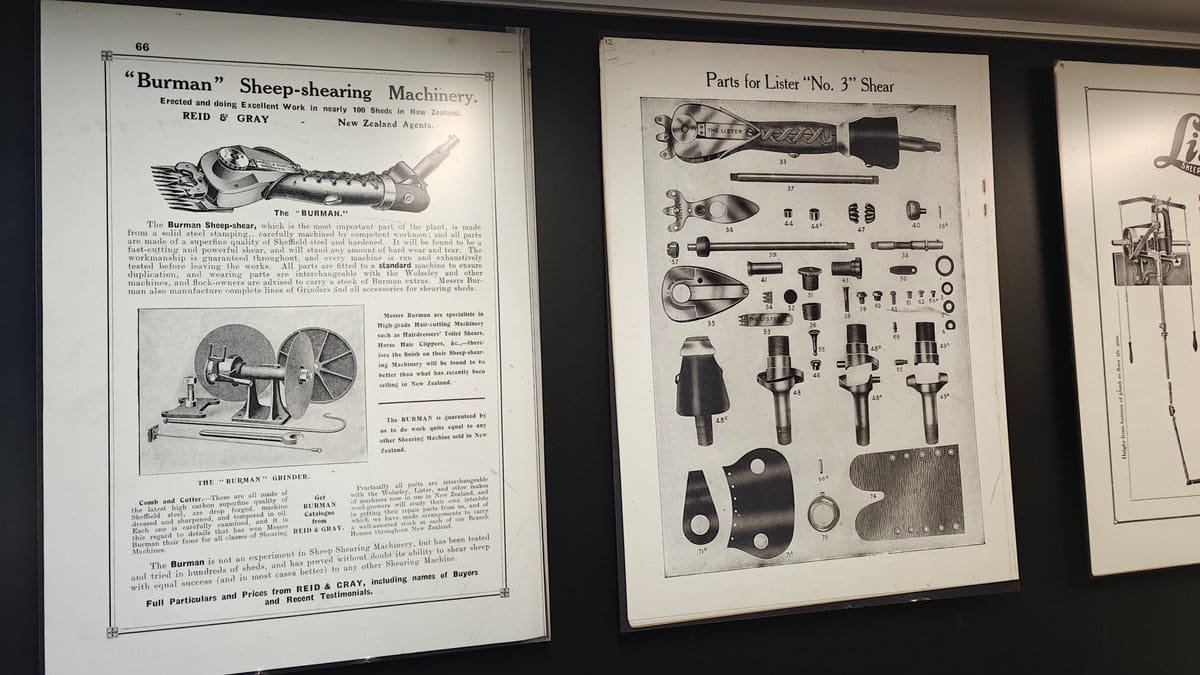 Framed historic prints about Burman sheep-shearing machines with