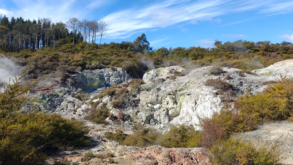 Green mineral crater among pines