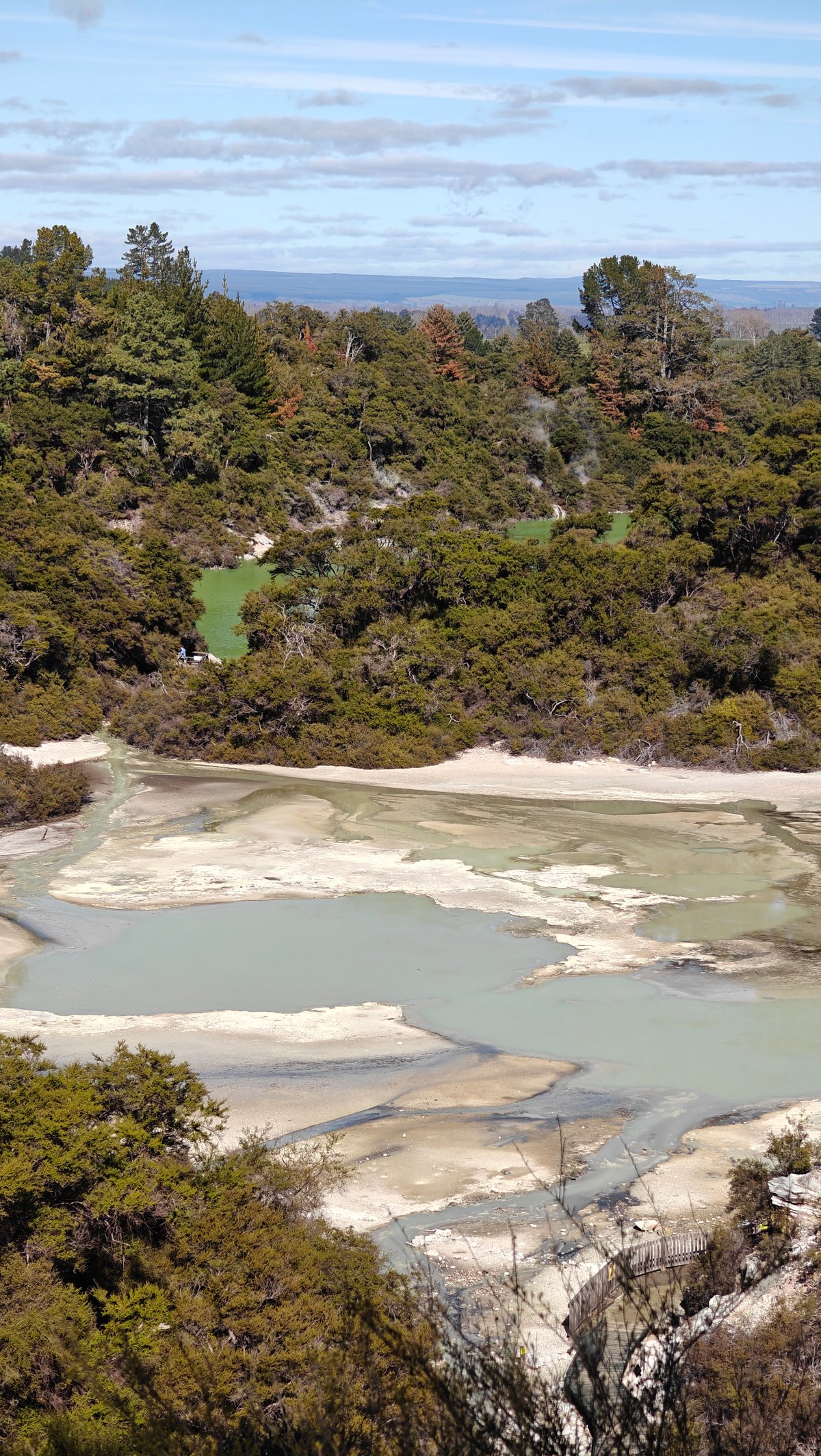 Green pools stepped in sinter
