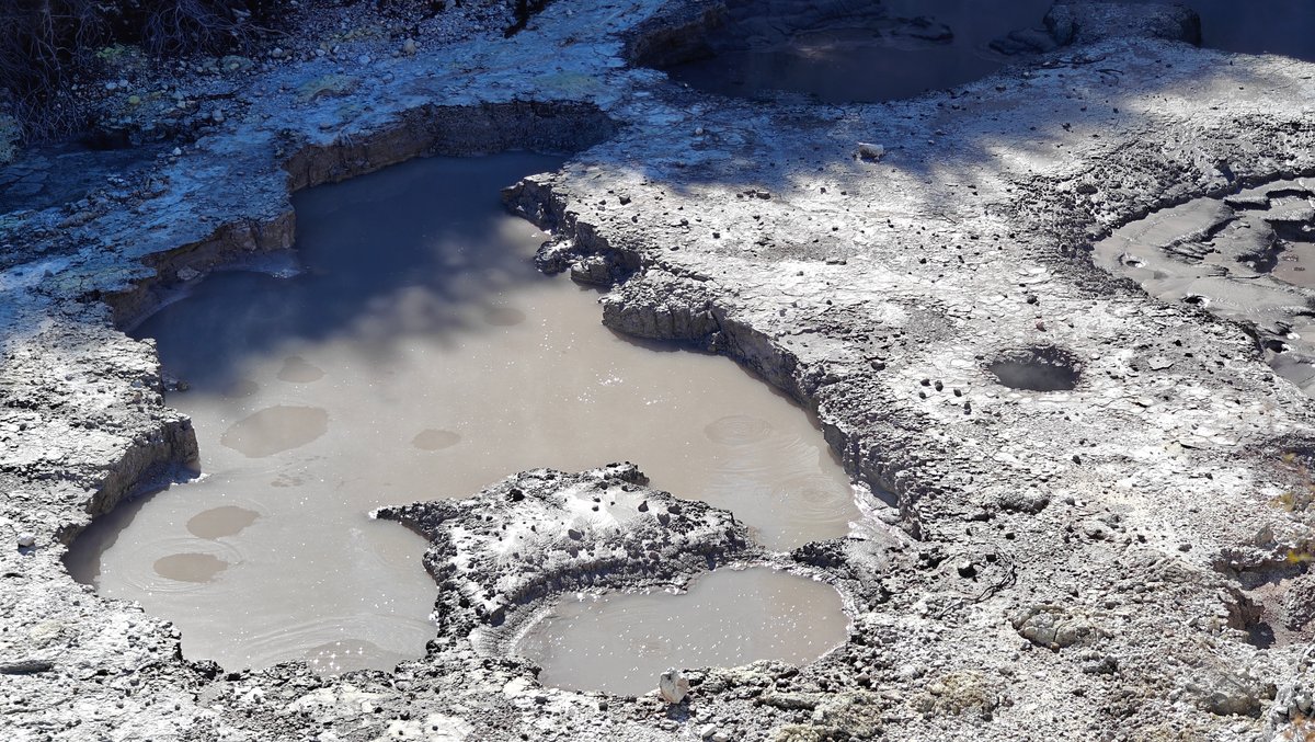 Grey mud pool bubbling steadily