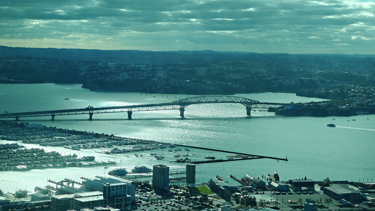 Harbour bridge and Waitematā view
