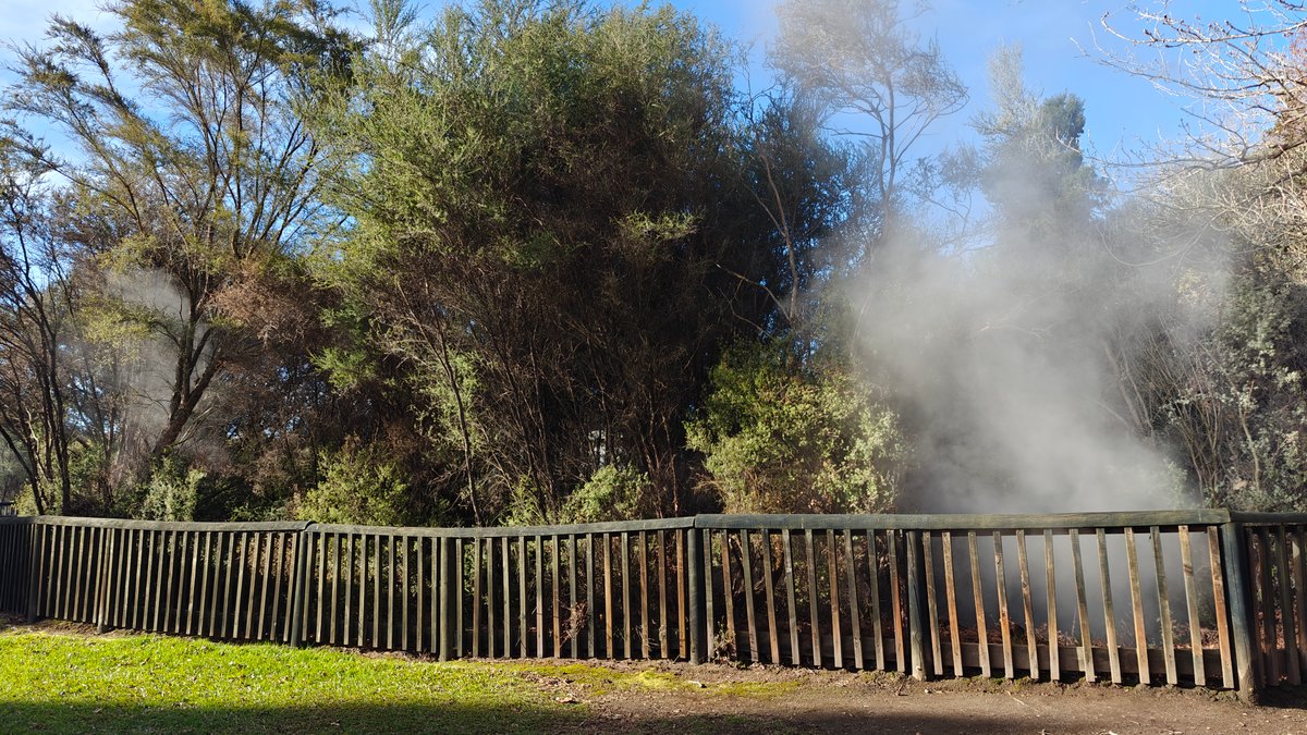 Heavy steam vent among trees