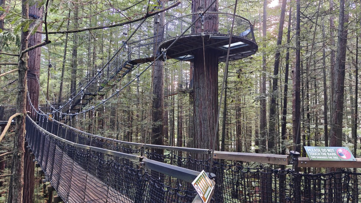 High platform and canopy bridge