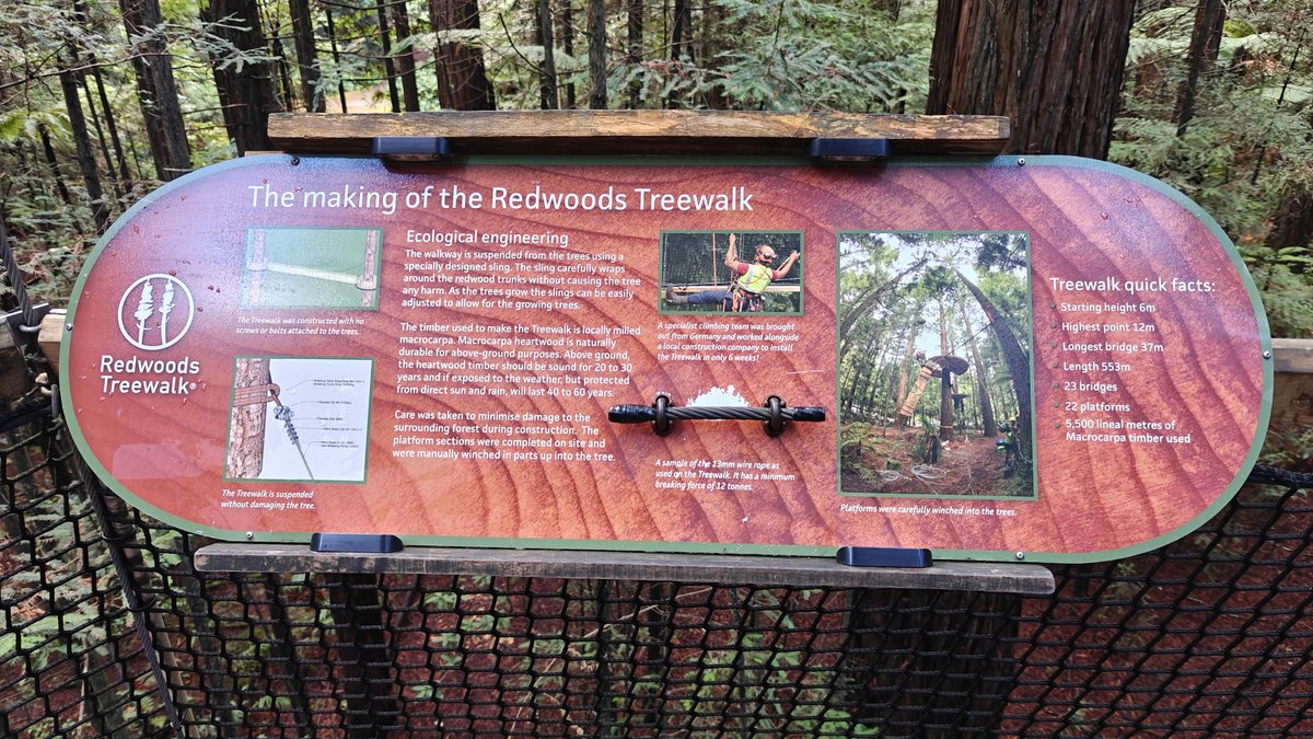How the Treewalk was built