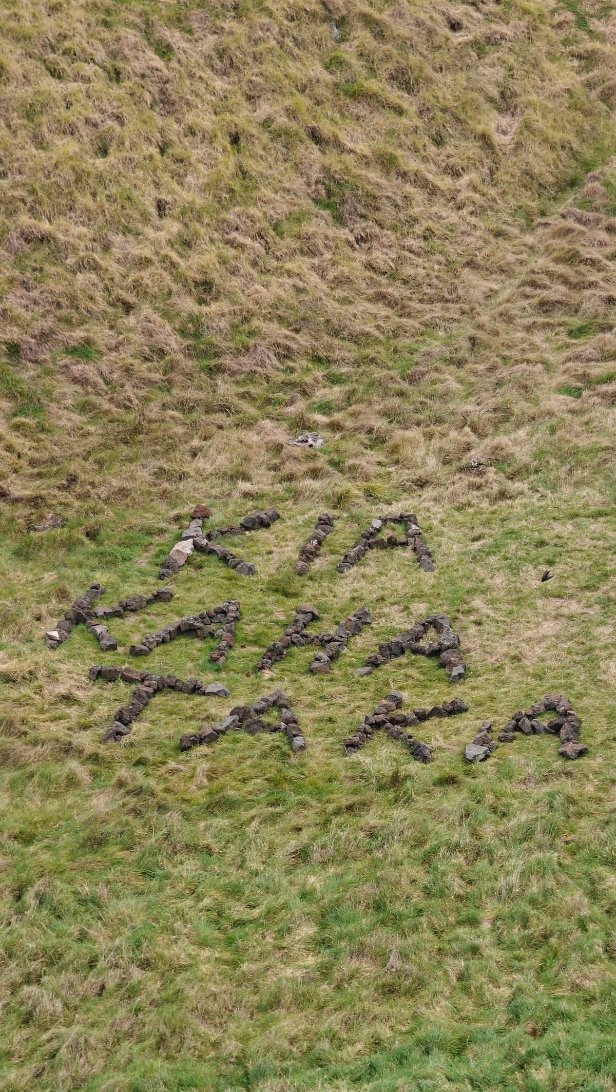 Kia kaha stones on the grassy slope