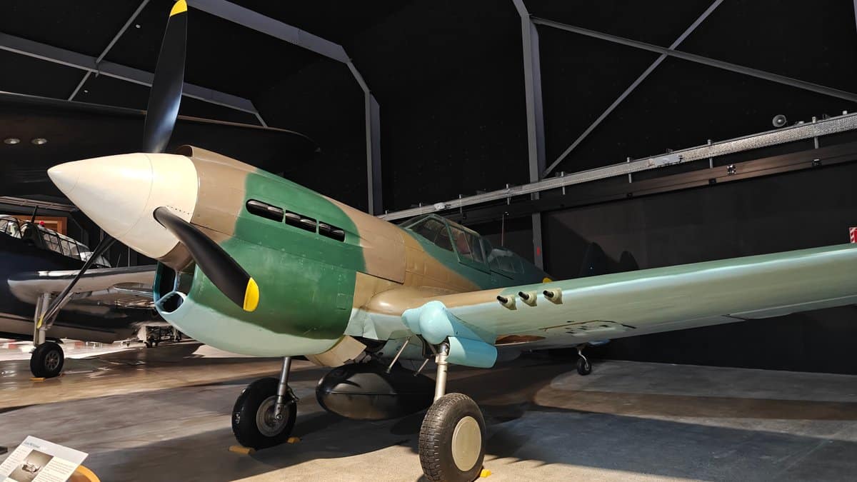 Kittyhawk fighter in camouflage