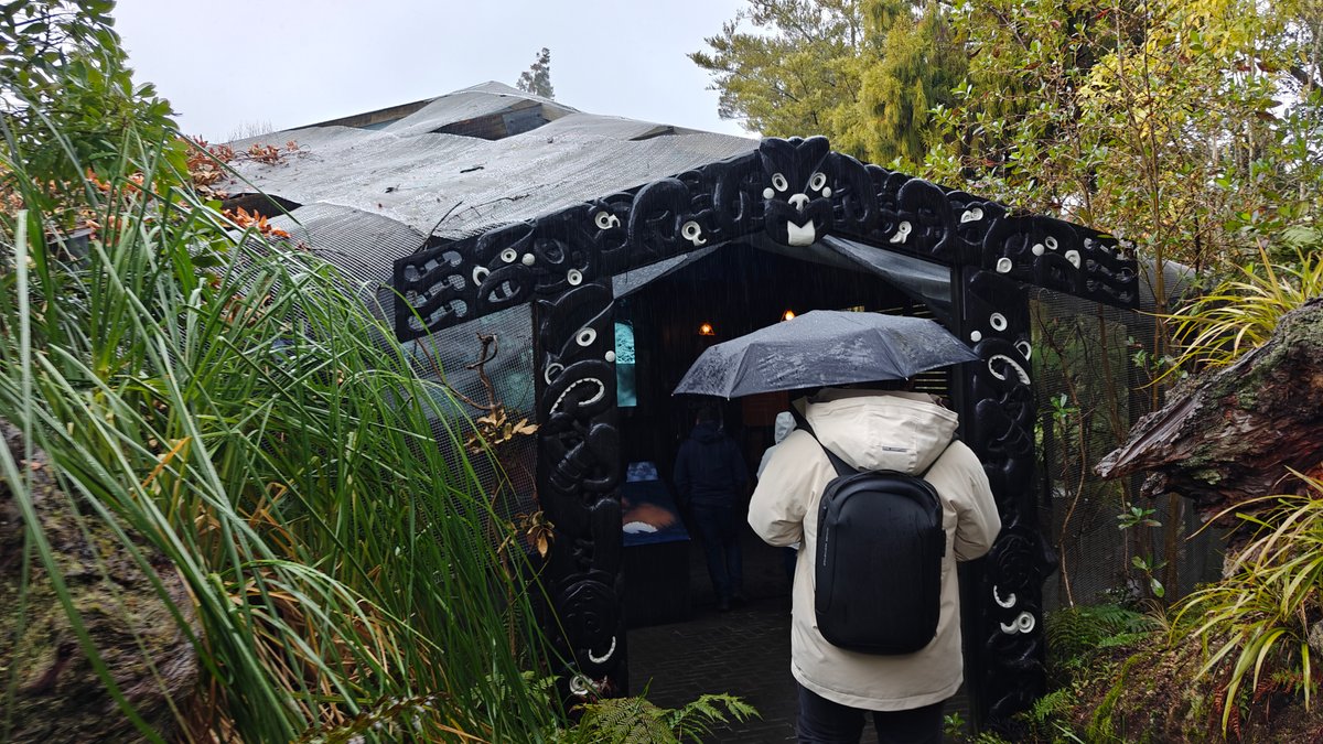 Kiwi house carved entrance