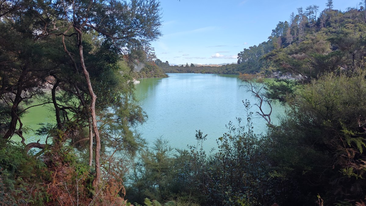 Lake Ngakoro ringed by bush
