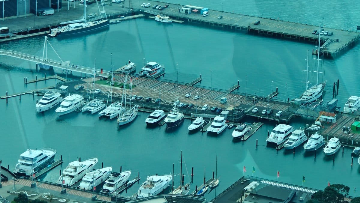 Launches moored in rows in the marina below.