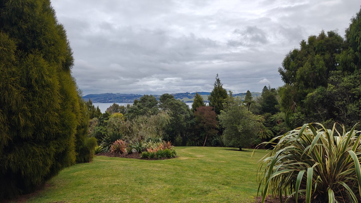 Lawn and planted beds with conifers and the
