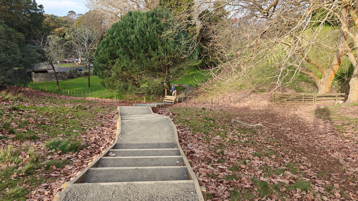 Leaf-strewn steps climbing the slope