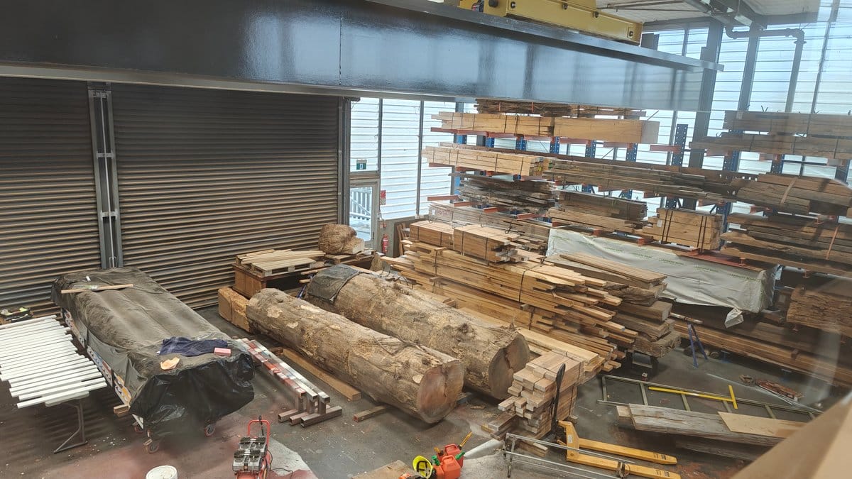Logs ready for the carvers