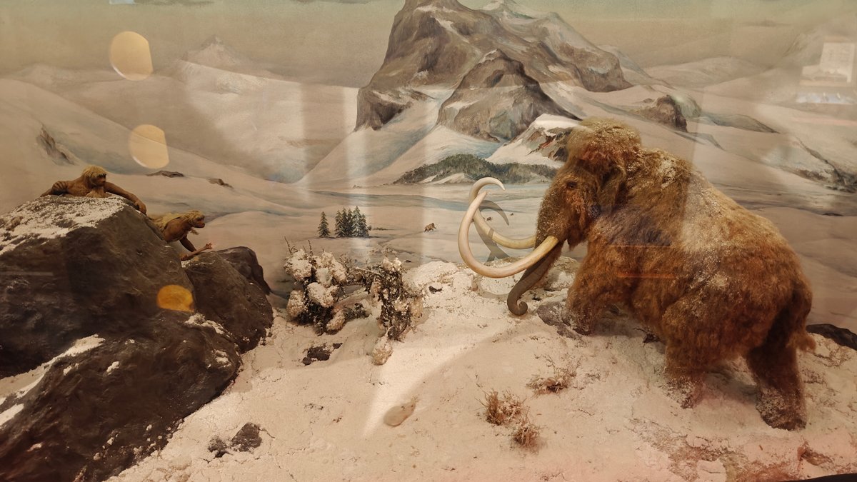 Mammoth diorama against a snowy landscape