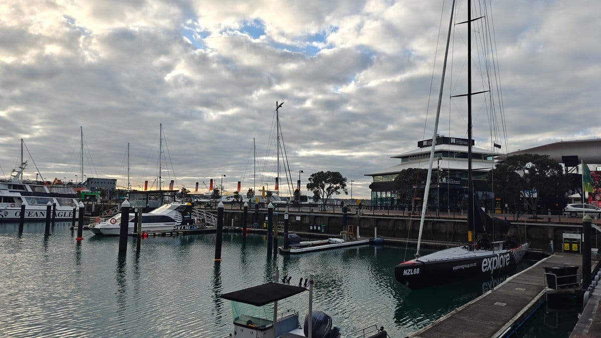 Marina masts and waterfront buildings