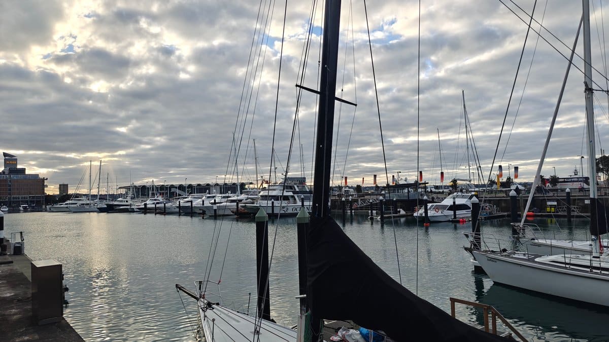 Masts catching late afternoon sun
