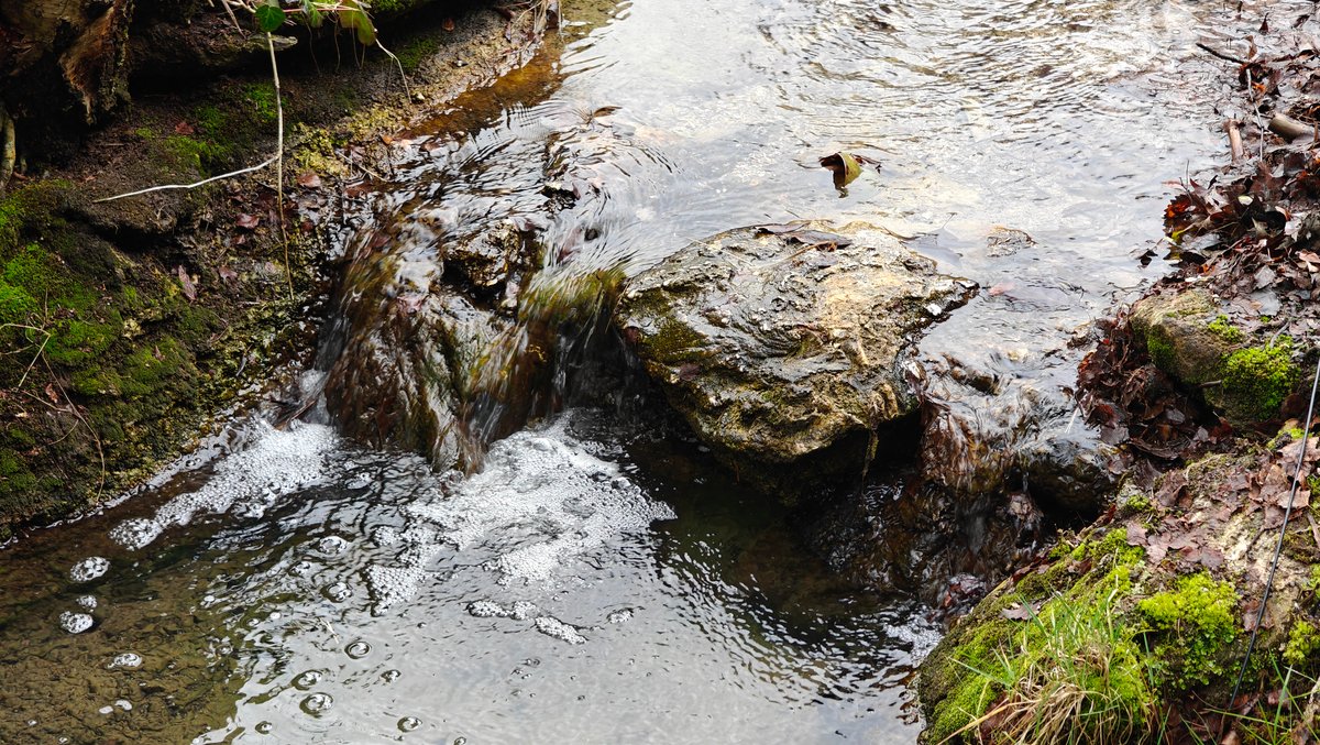 Mineral-stained mossy stream