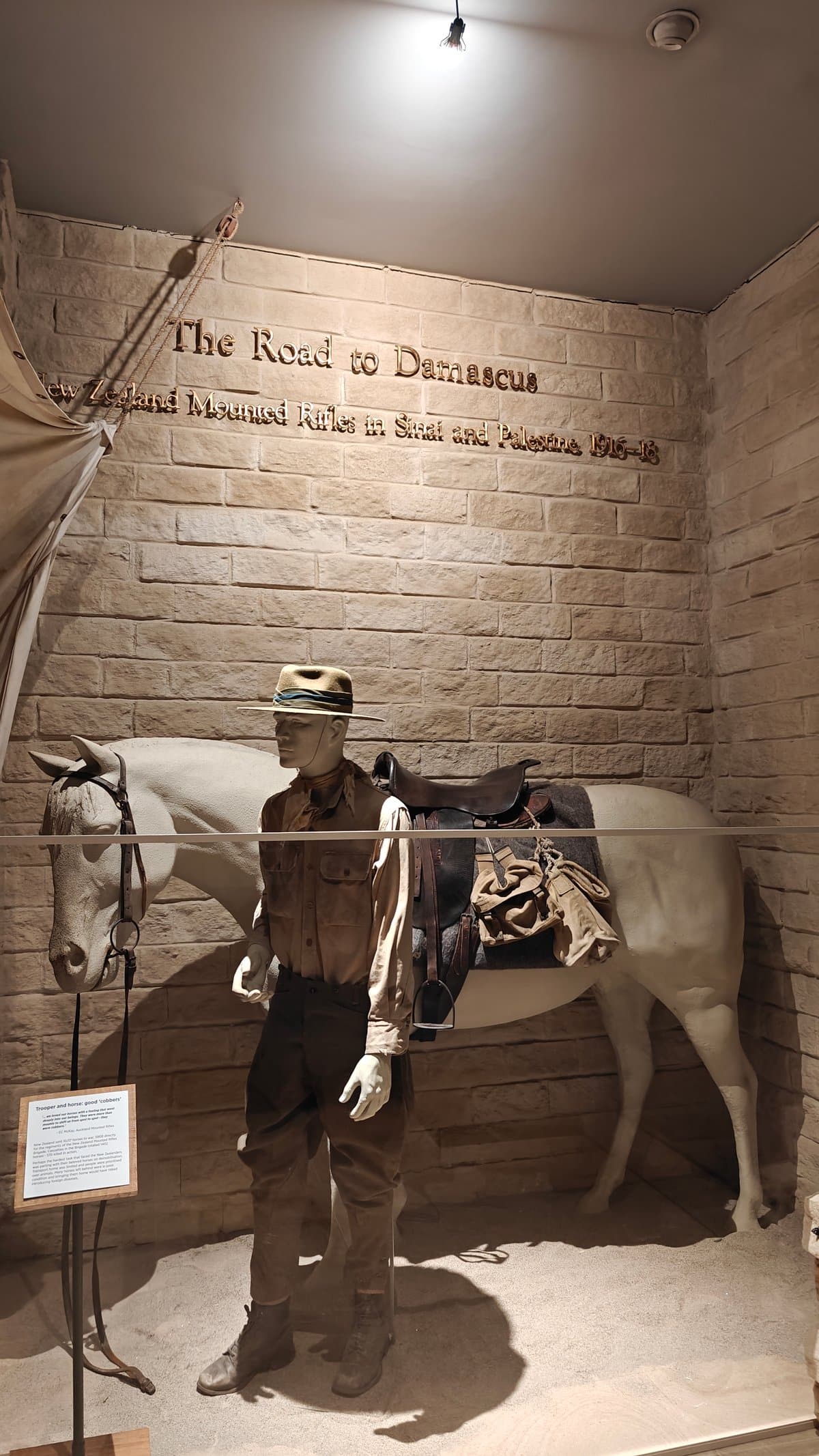 Mounted rifleman and horse in gallery