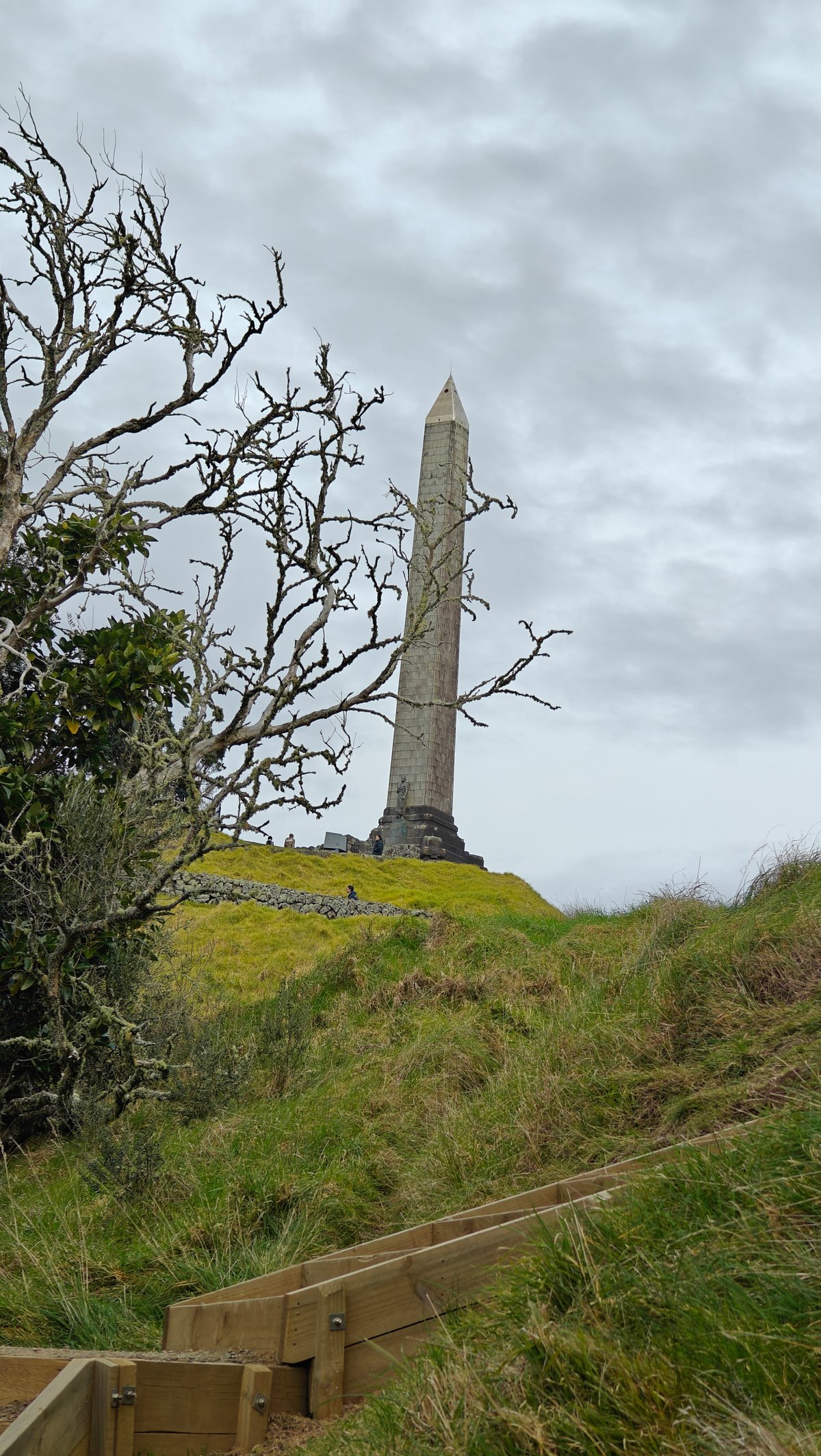 Obelisk framed through bare branches