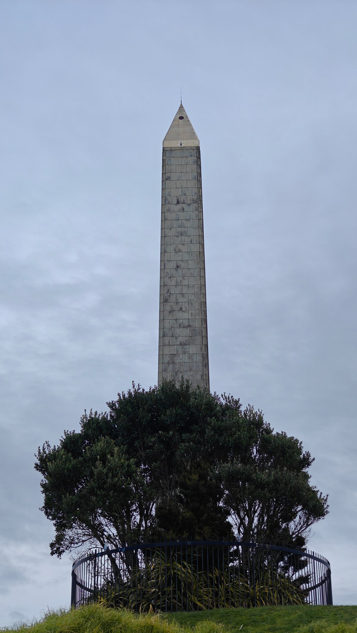 Obelisk rising above the tree canopy
