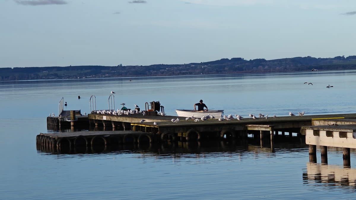 Old timber wharf on the lake