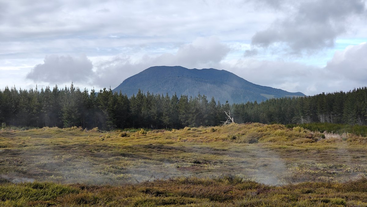 Open scrubland with a bush-covered mountain on the