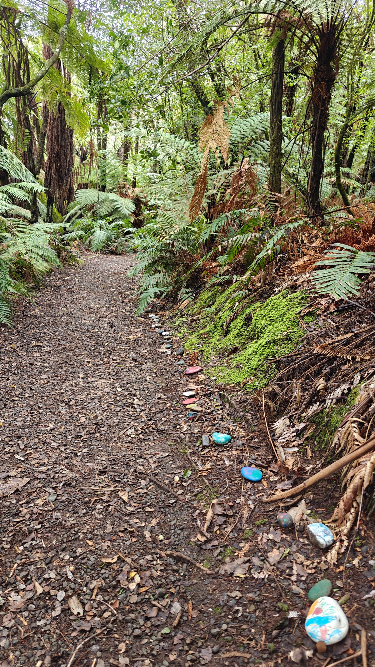 Painted pebble on the fern path