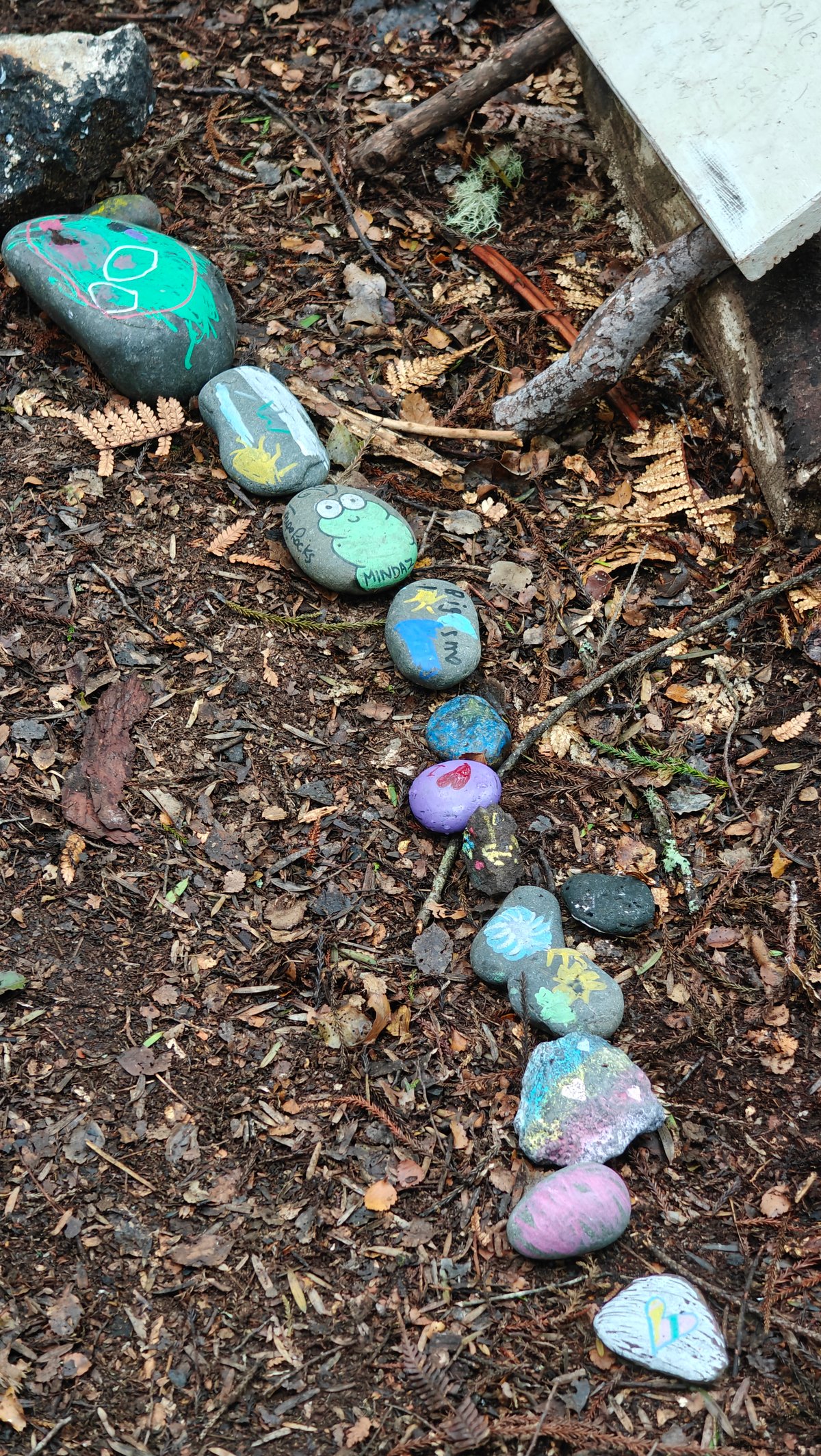 Painted pebble trail through bark mulch